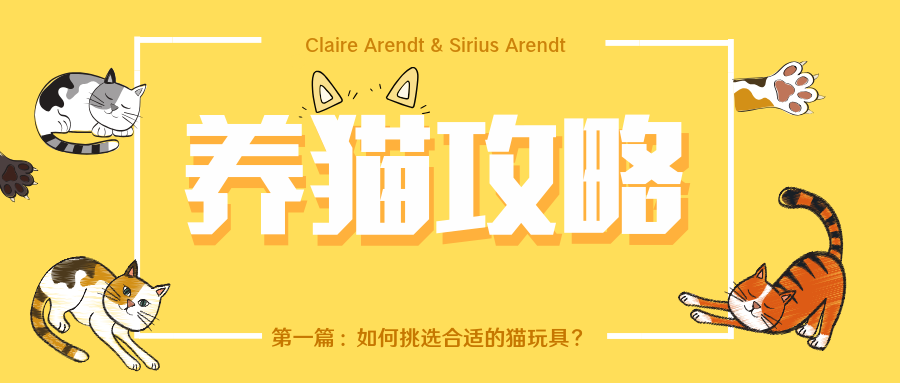 养猫攻略 一 如何挑选合适的猫玩具 充满吐槽和夸奖的合集 知乎