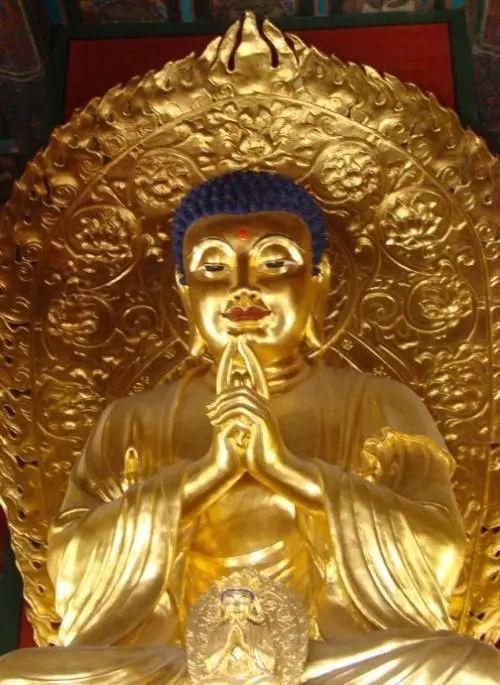 乱世道士下山救世,盛世和尚开门敛财？ - 知乎