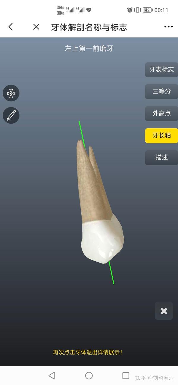 口腔解剖入门级(自己学习)牙体解剖 - 知乎