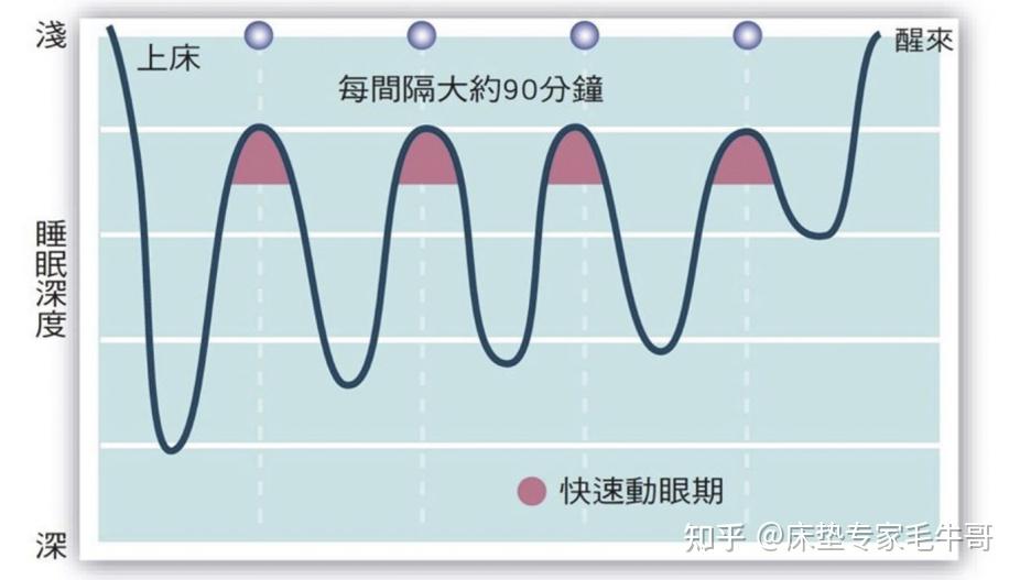 别被8小时睡眠论骗了！每天睡多久才算够？周末补觉到底有没有用？好睡眠关键还得看这点 知乎 
