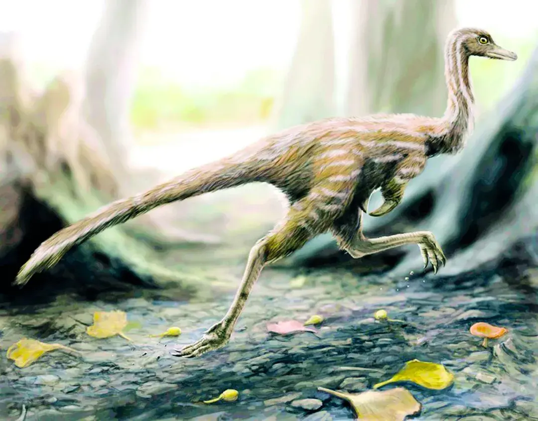 八百里伏牛山:河南屋瓴,老子隐居地,恐龙蛋之乡