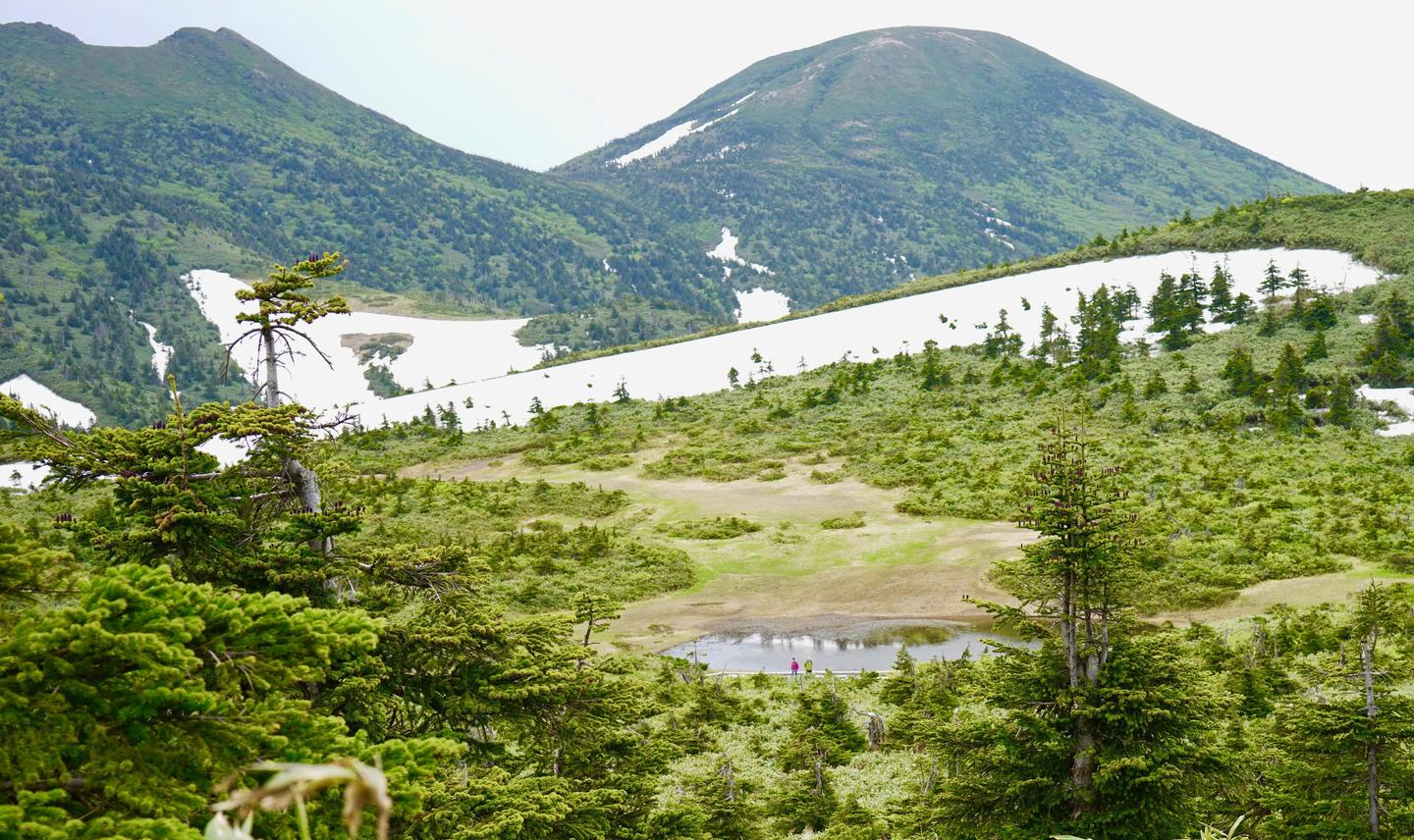 日本的湿地与高山植被 八甲田山 知乎