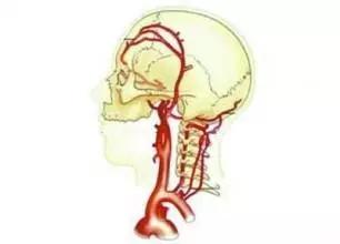 v2-892bdafacb61801bee3cc638c0635911_b.jpg
