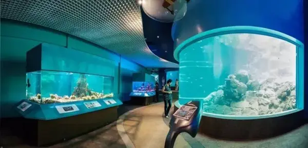 马来西亚的特色水族馆和主题乐园 知乎