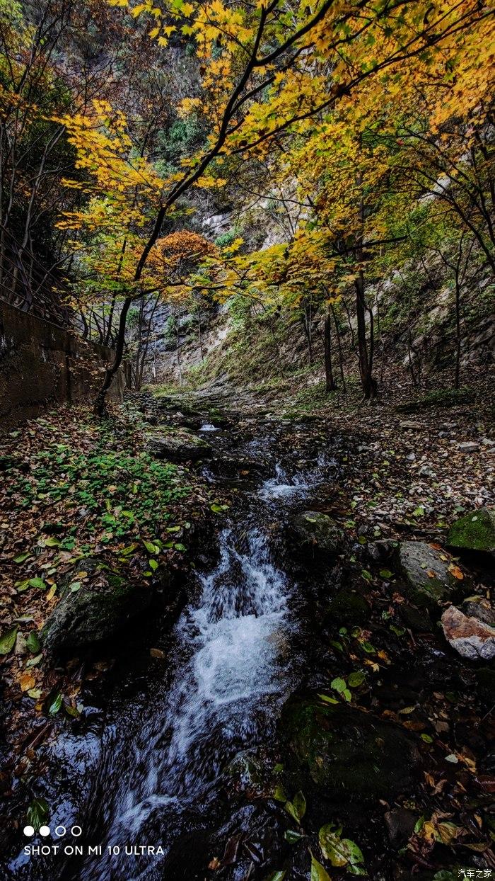 一人一唐,自驾洛南金丝峡,瞰五彩斑斓深秋神瀑峡沟