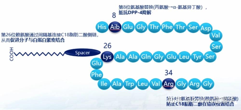 伯仲之间——论口服司美格鲁肽片和注射制剂区别 知乎 