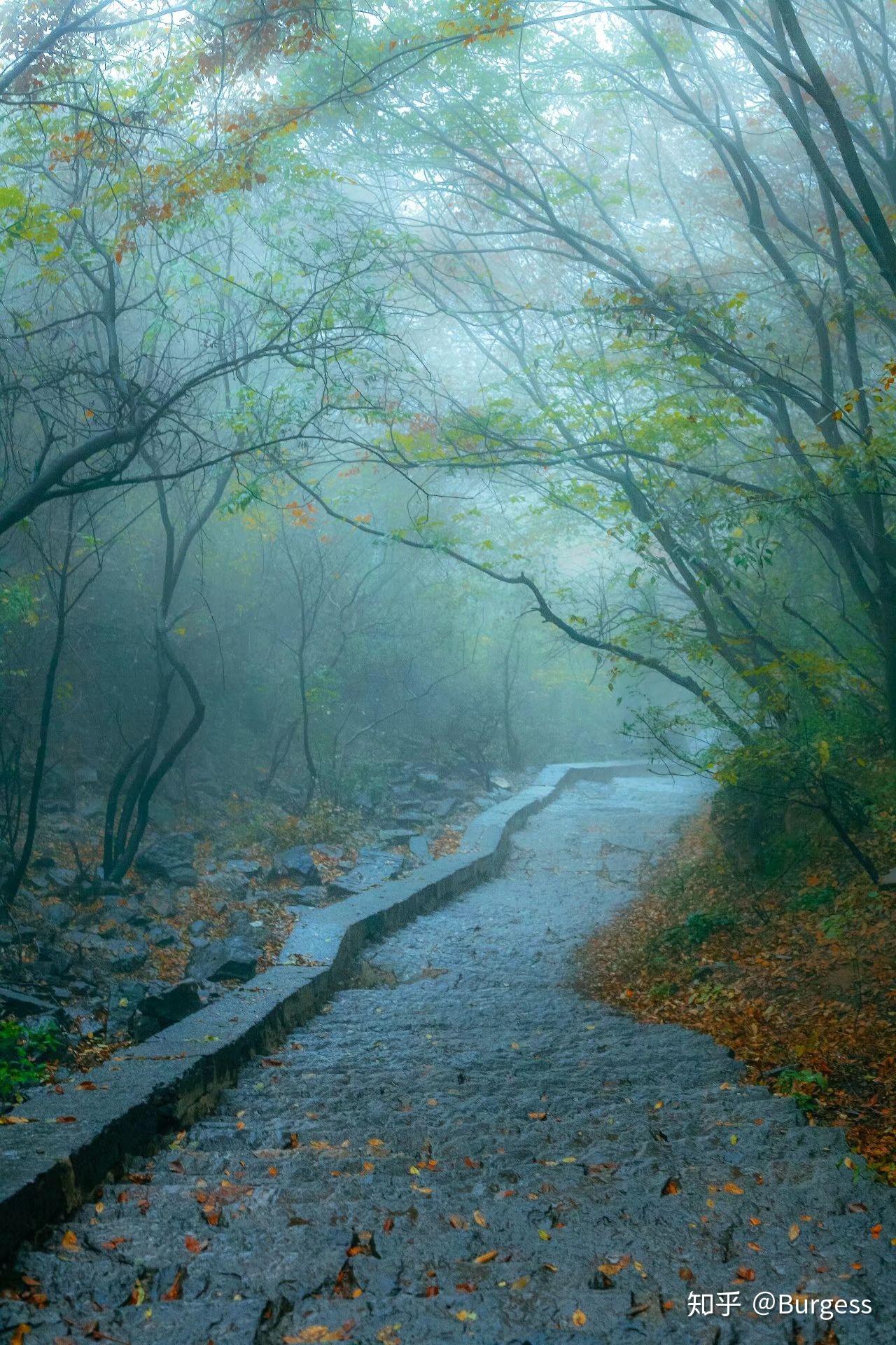 在你的摄影生涯里,用50mm定焦镜头拍出过哪些满意的作品?