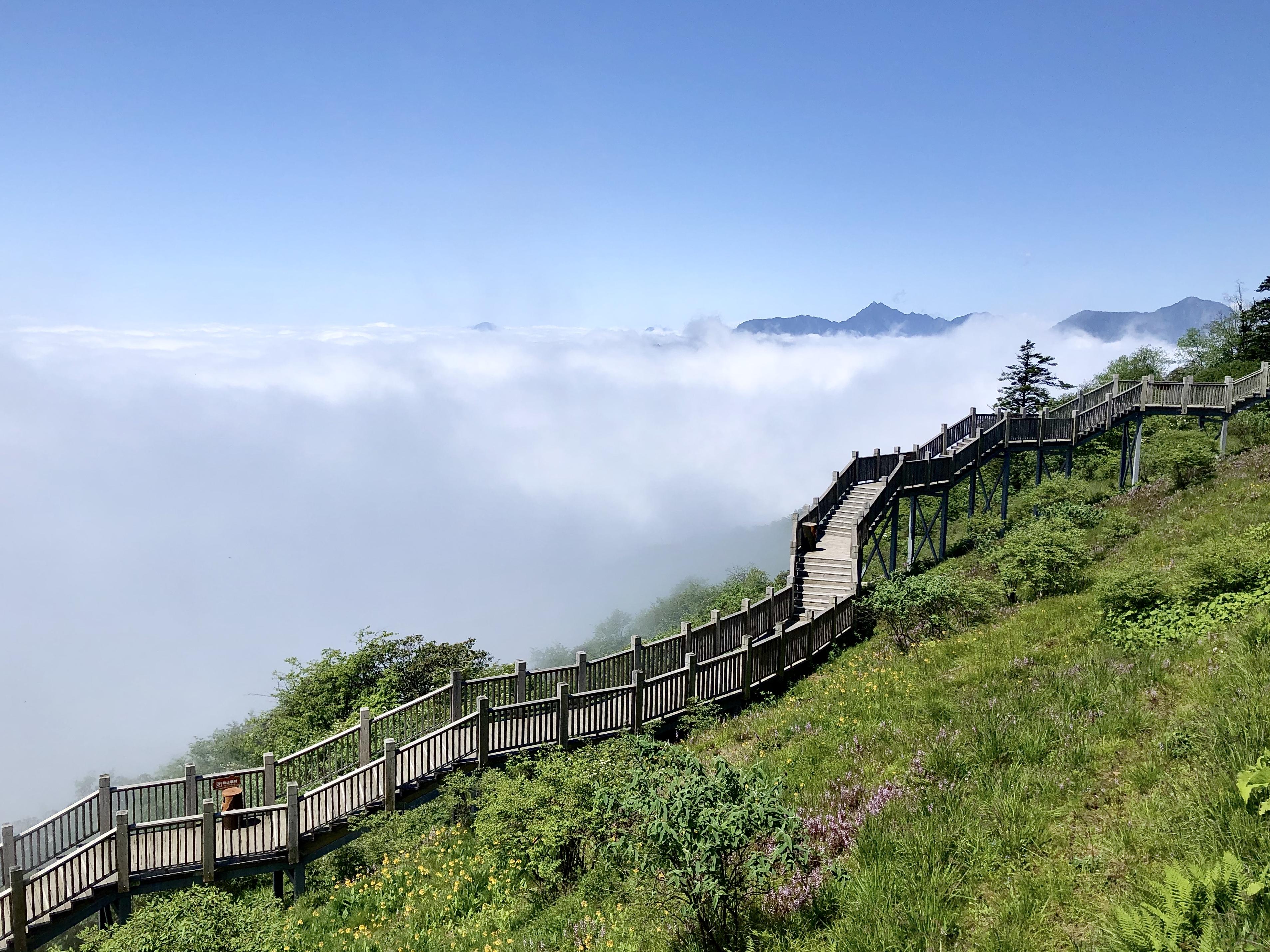 我有幸看到的是这个样子:那会是一副什么样子呢?西岭雪山没有雪