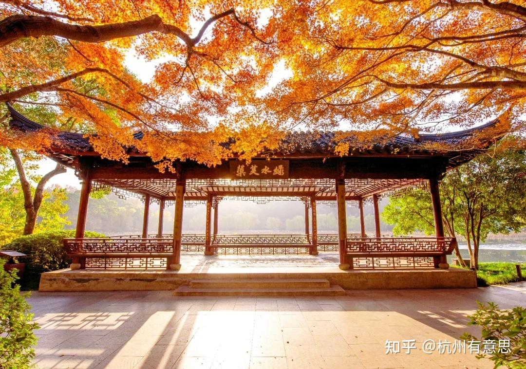 也许你经常走过,路过,玩耍过但未必知道这儿就叫镜湖厅公园,我就是