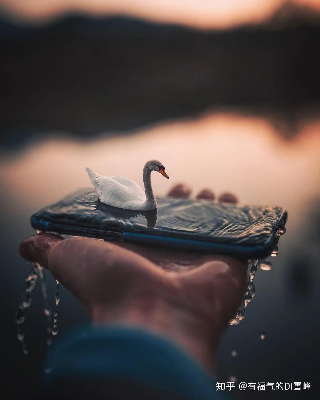 各路大神的创意脑洞,美炸了! - 知乎