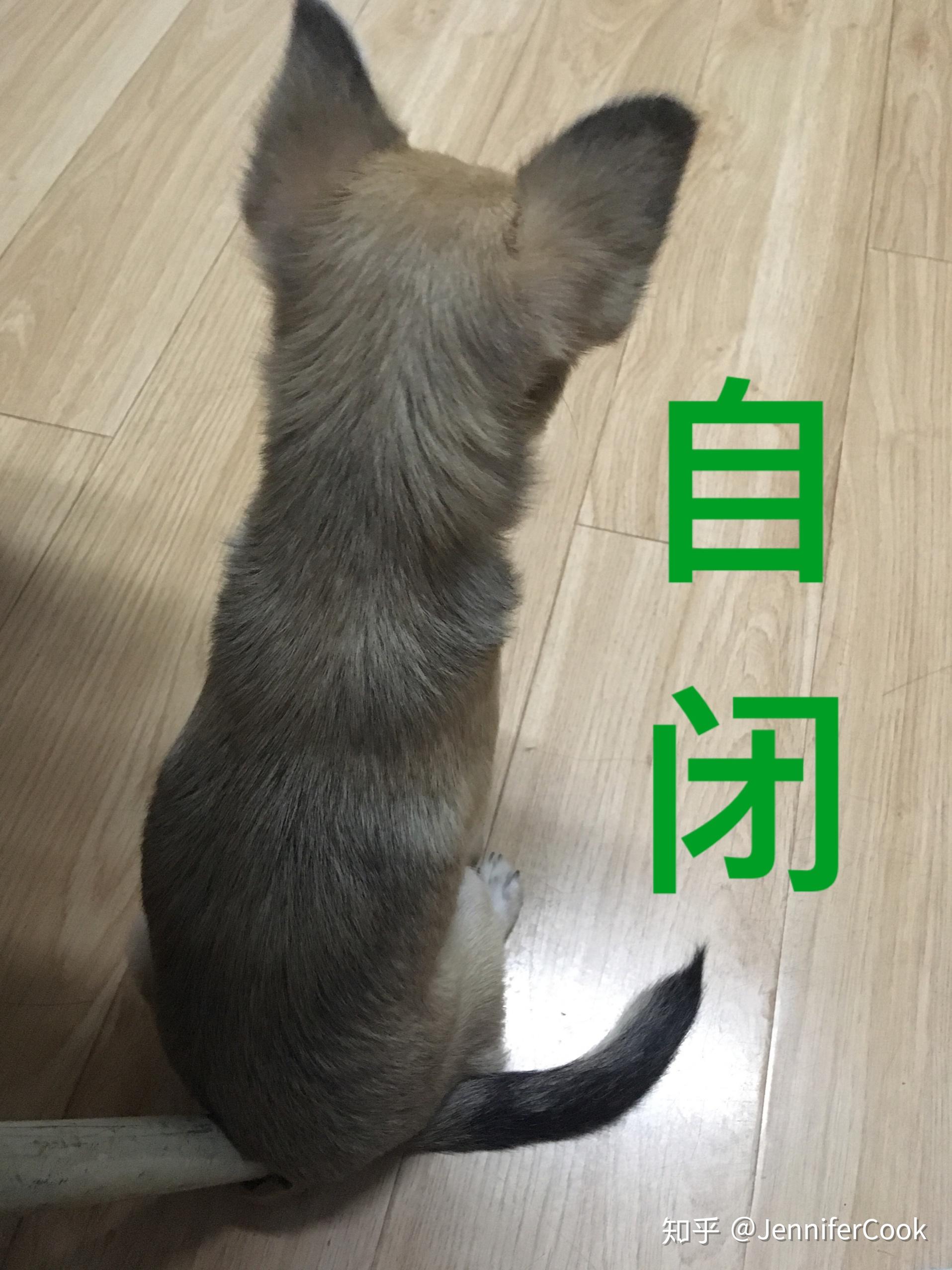 v2-899f7b5756d671878e15f6406ecfcc8d_r.jpg
