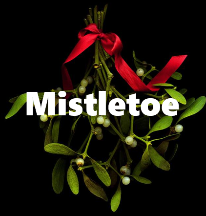 merry christmas~ may the warmest wishes, happy thoughts and