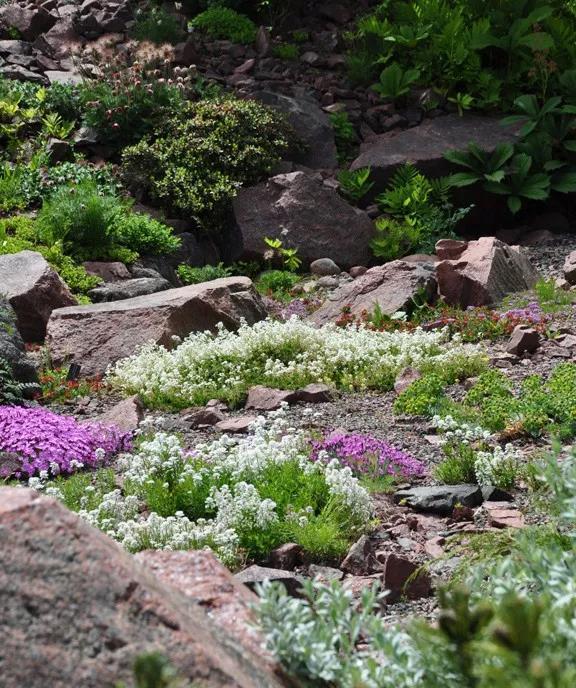 岩石花园你可以这样玩转