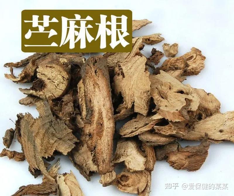 一起来看止血化瘀药——苎麻根 - 知乎