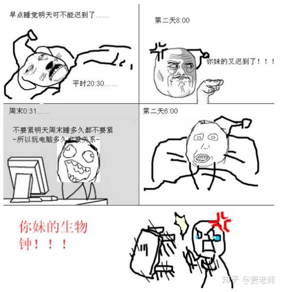 睡眠的生理机制2生物钟基因控制