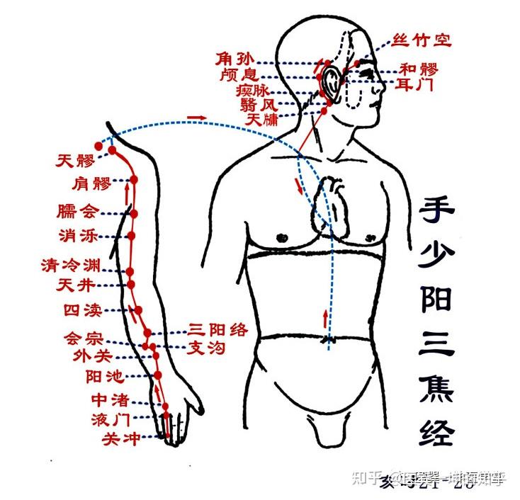 【医巽一坤】针灸、经络、穴位歌诀汇总,太值的收藏了!(六) - 知乎