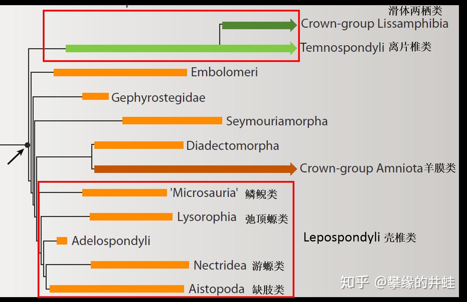 地球演义螈鲵对龙蜥