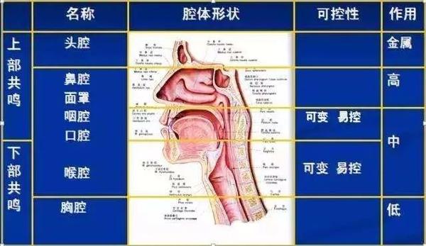 最好的锻炼全身锻炼 发声去唱歌 知乎