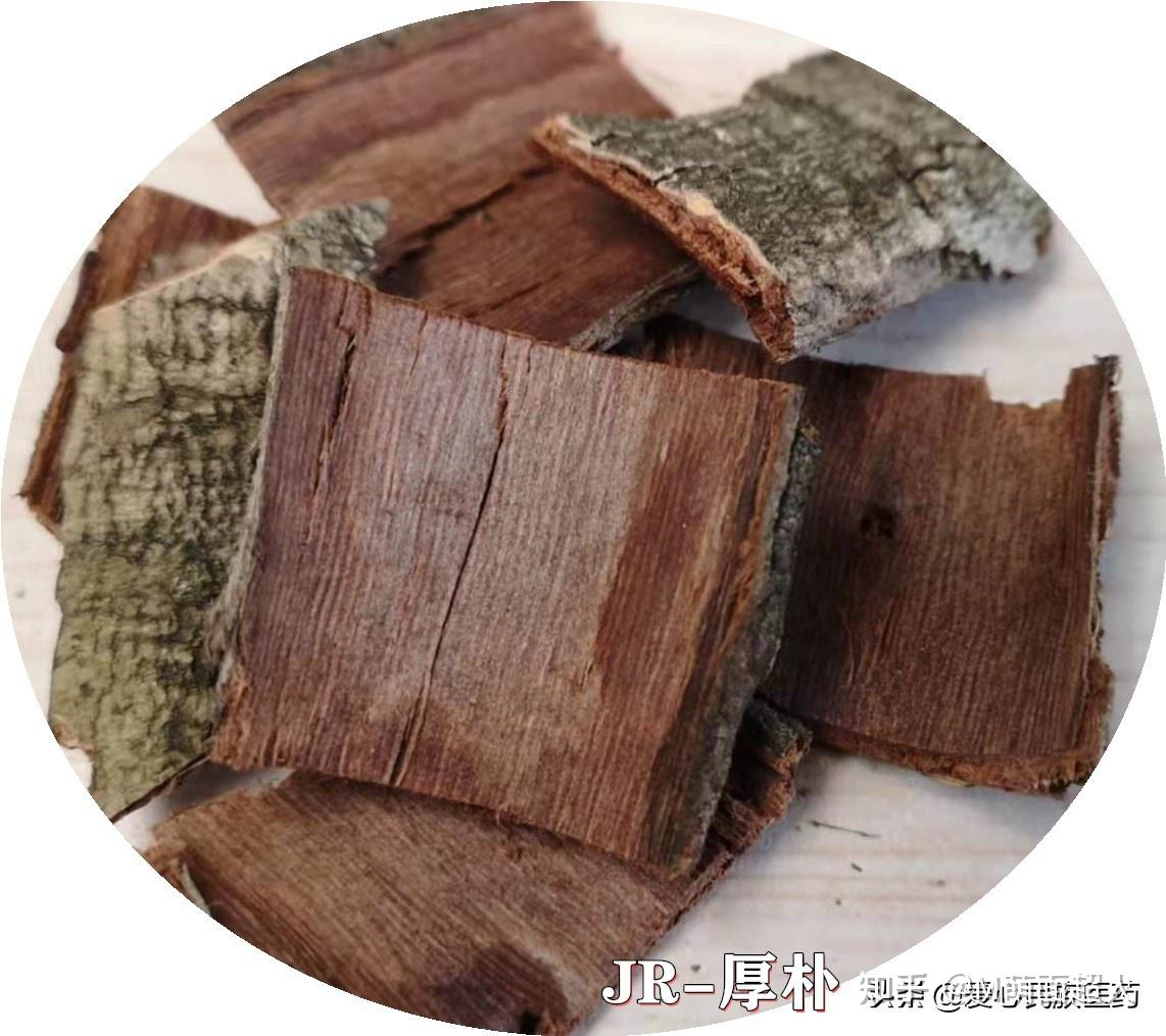 全身可入药 千方皆有它 大众药材厚朴少不了