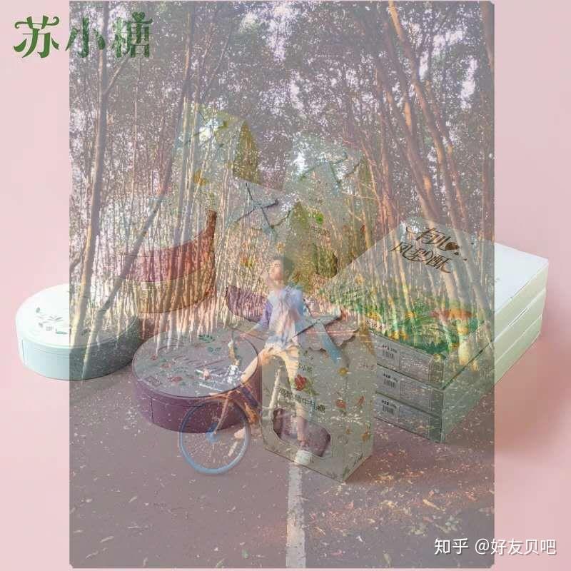 苏小糖爱情故事的开始