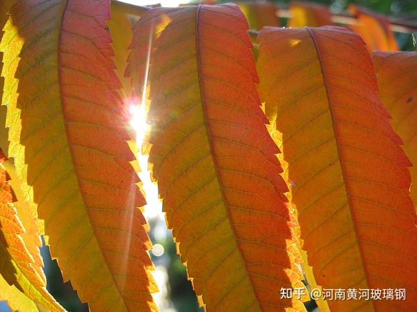 伤心时发的文案短句(那些伤心无助的文案短句)
