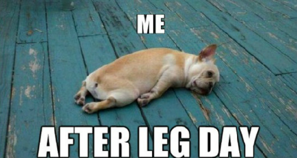 为什么在健身房里面深蹲的人少,练腿的人少?