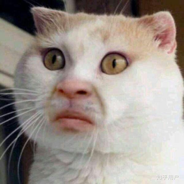 英语底子较好的法学学生需不需要考高级bec,如