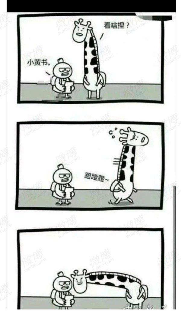 你有哪些让人笑到肚子疼的搞笑图片二十六