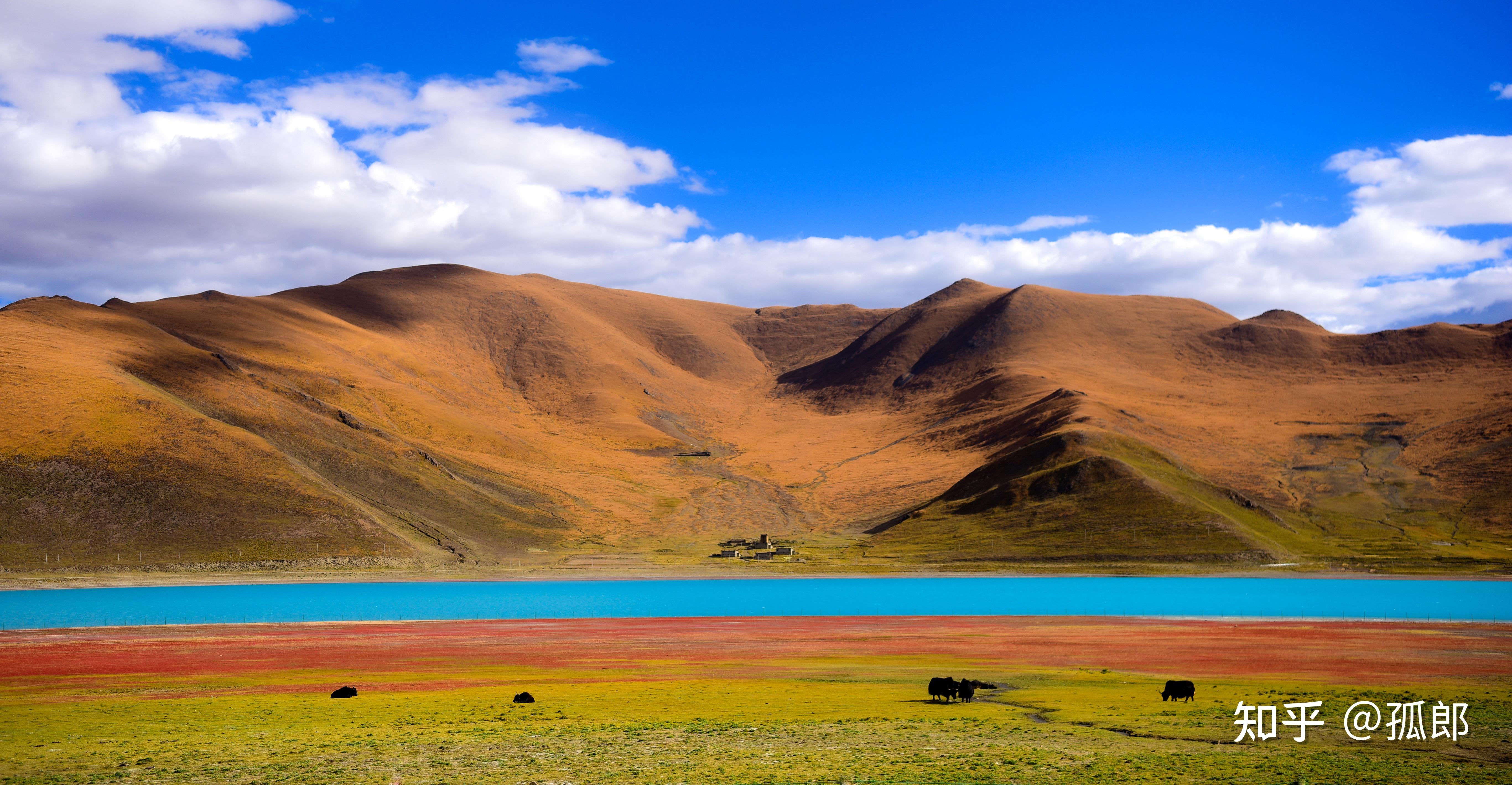 只为了寻找更美的风景和遇见最美的你!