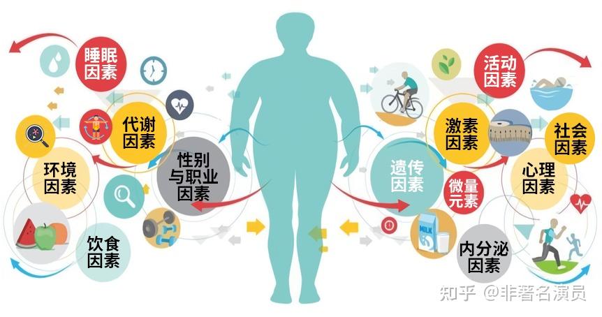 原来肥胖真的会传染！ - 知乎