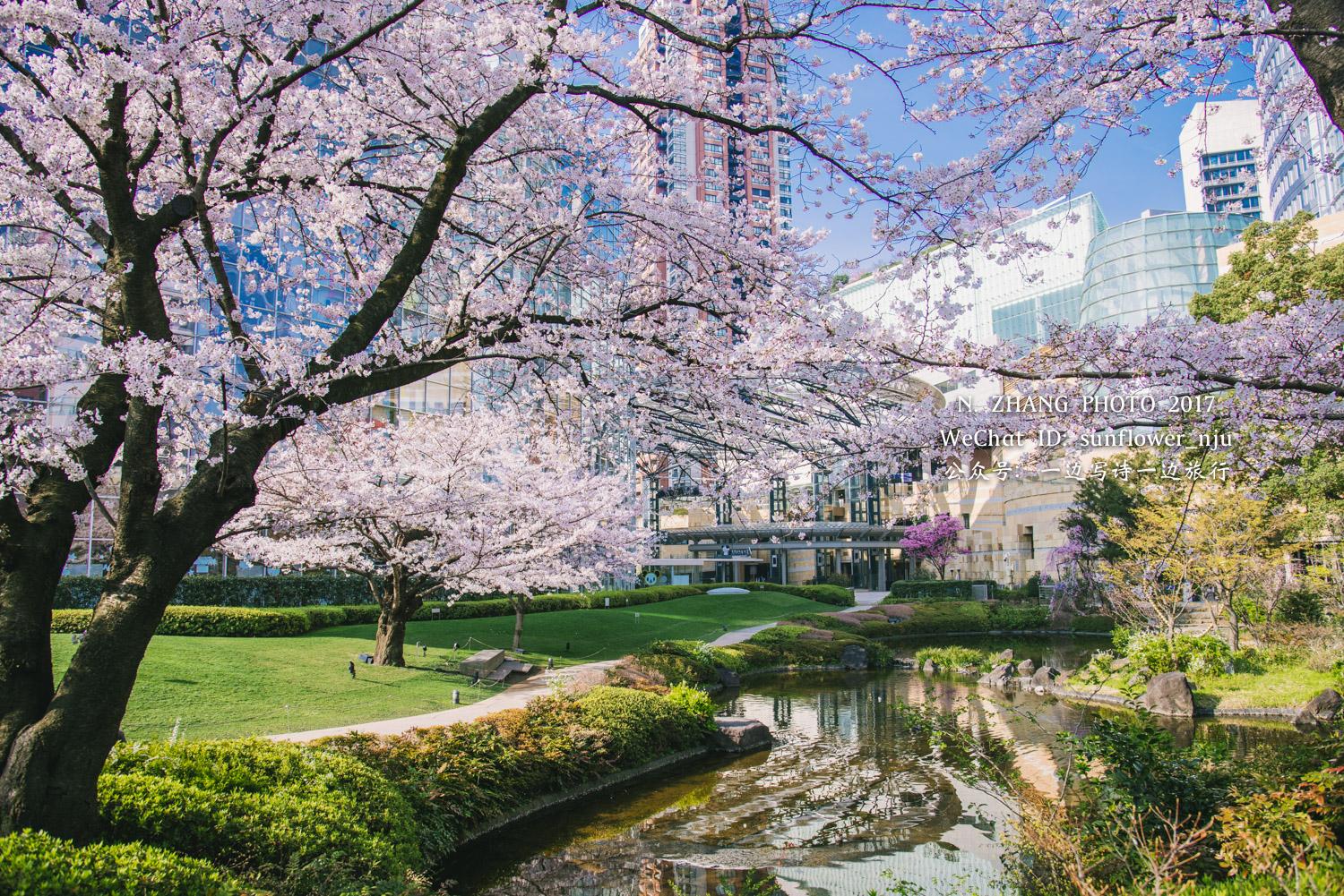 花见2017六本木毛利庭园