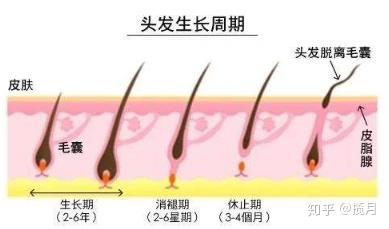 生发| 新生婴儿也会脱发？怎么办？ - 知乎