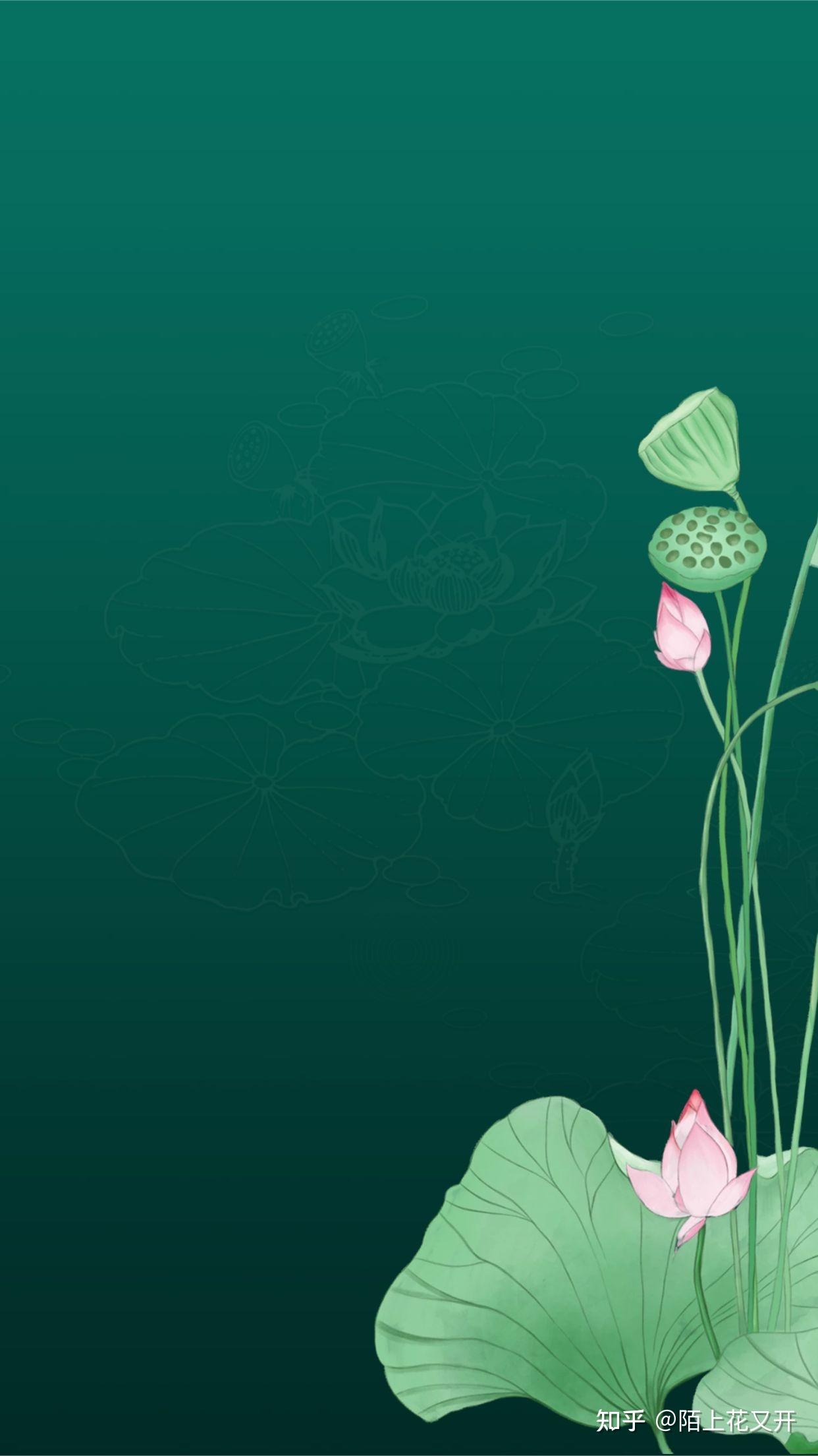 处暑手绘插画丨海报设计丨荷花壁纸丨背景图丨最美处暑诗词