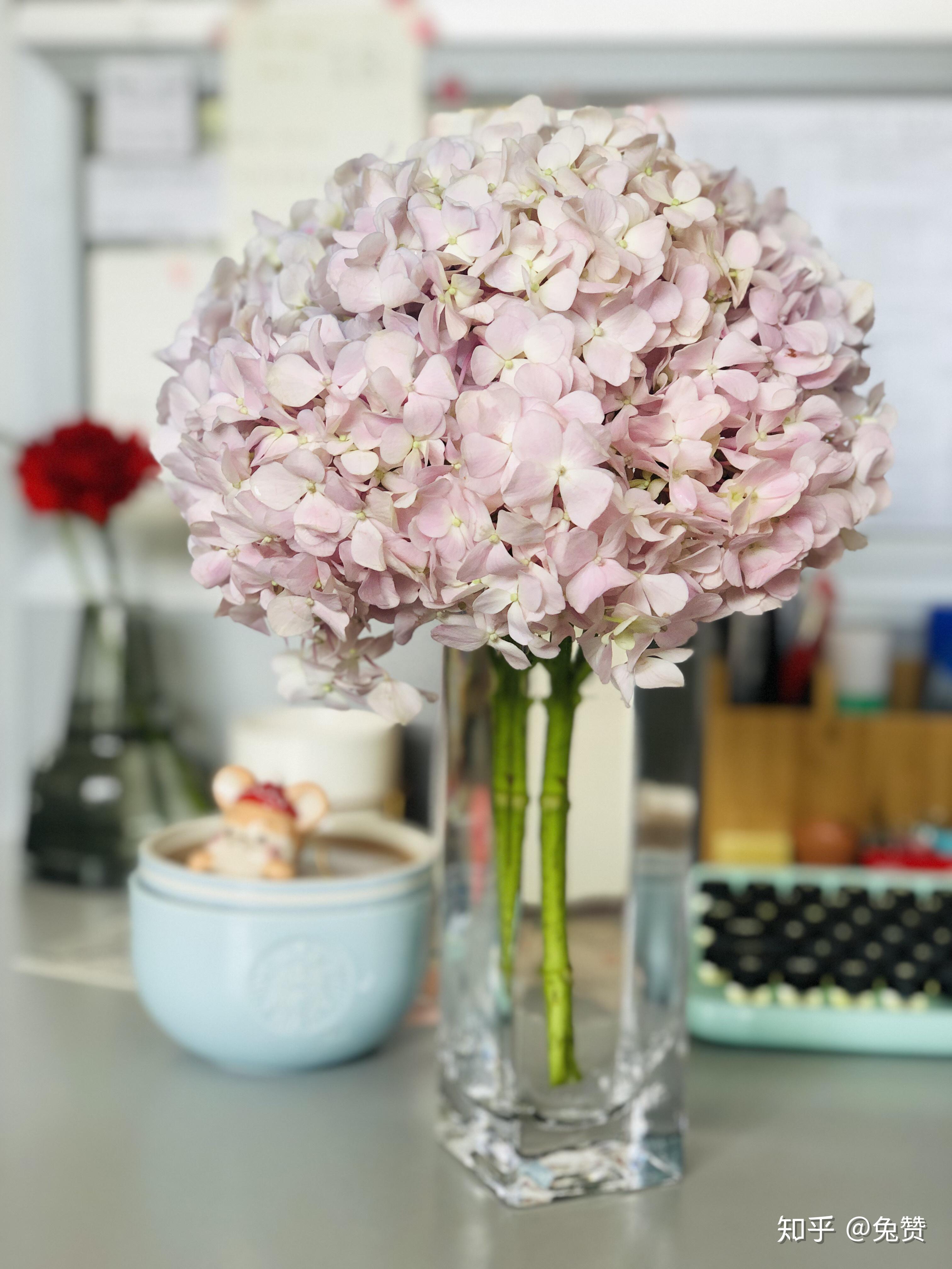 绣球花适合什么样的花瓶?