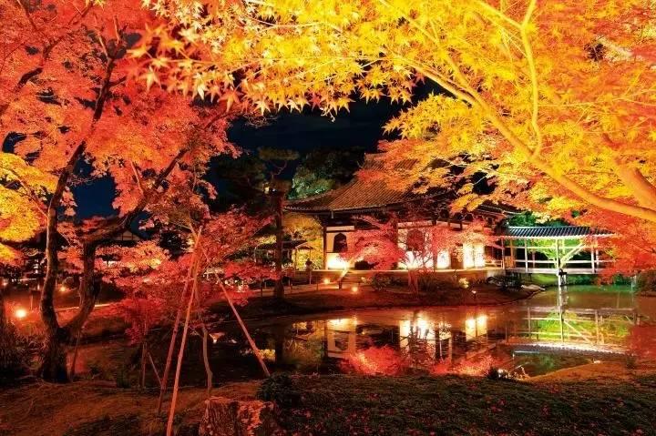 京都赏红叶特别攻略 小众到只有当地人知道的地方 一个人独占深秋红影 知乎 京都赏红叶特别攻略 小众到只有当地人知道的地方 一个人独占深秋红影 知乎
