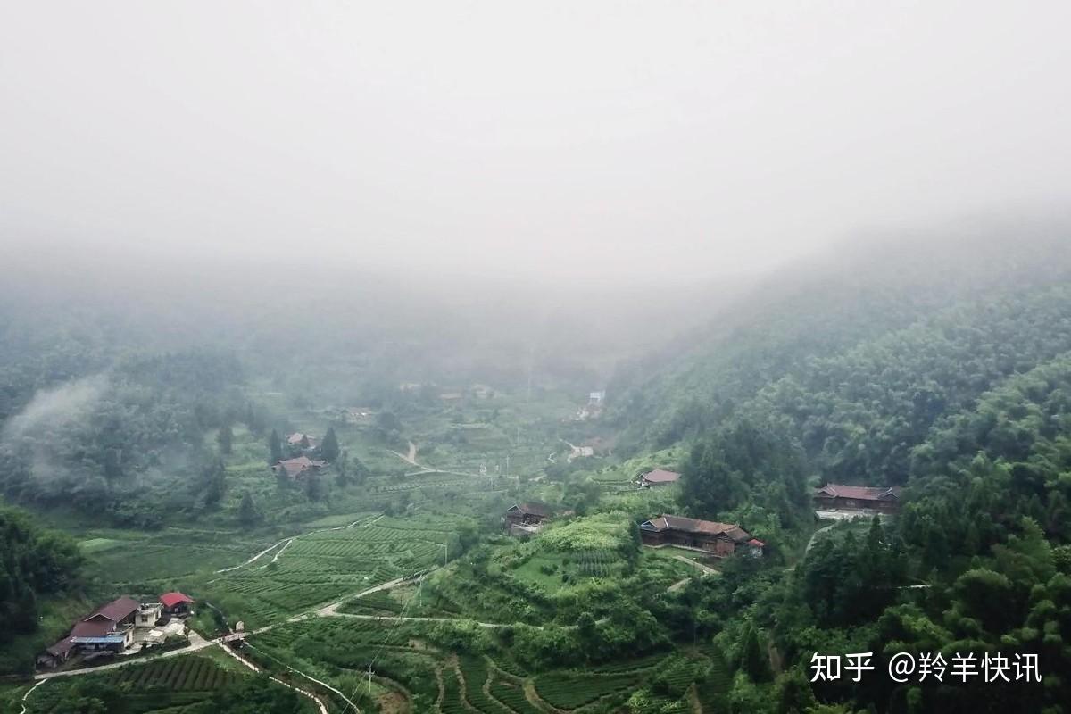 走进“云上村庄”：湖南师大博士服务团赴“诗意柳林”助力产业振兴 - 知乎