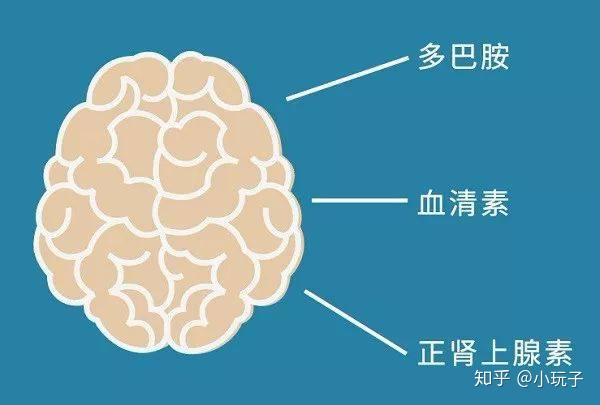 医生给他开"百忧解",就是减少他大脑的血清张素;而正肾上腺素,就是使