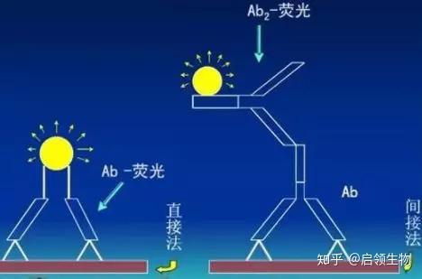 实验tips 免疫组织化学染色 知乎