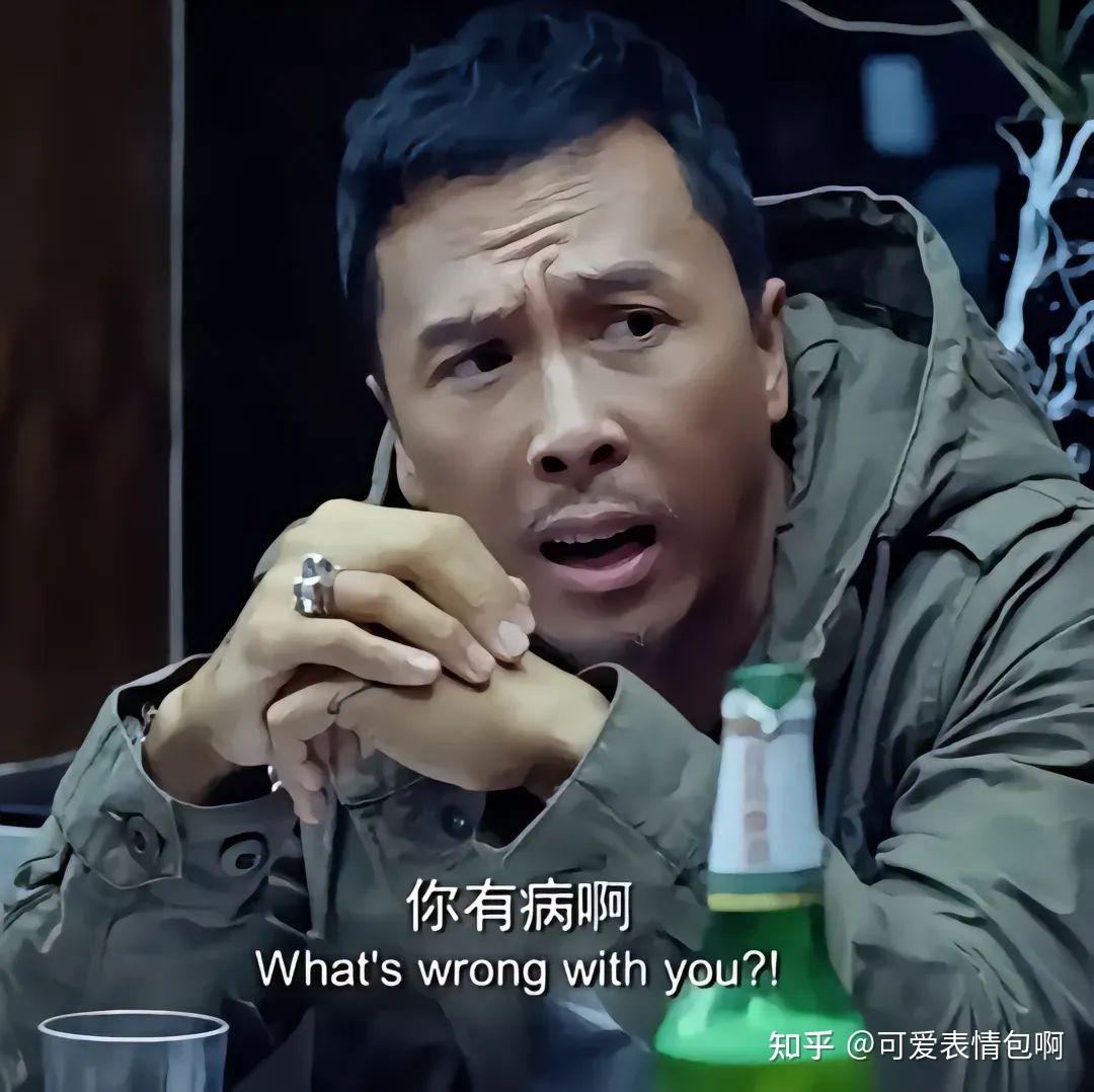 热门|甄子丹指人表情包 - 知乎