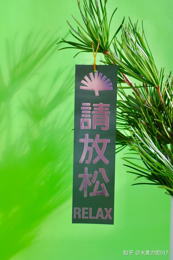 超级植物公司放青松 - 知乎