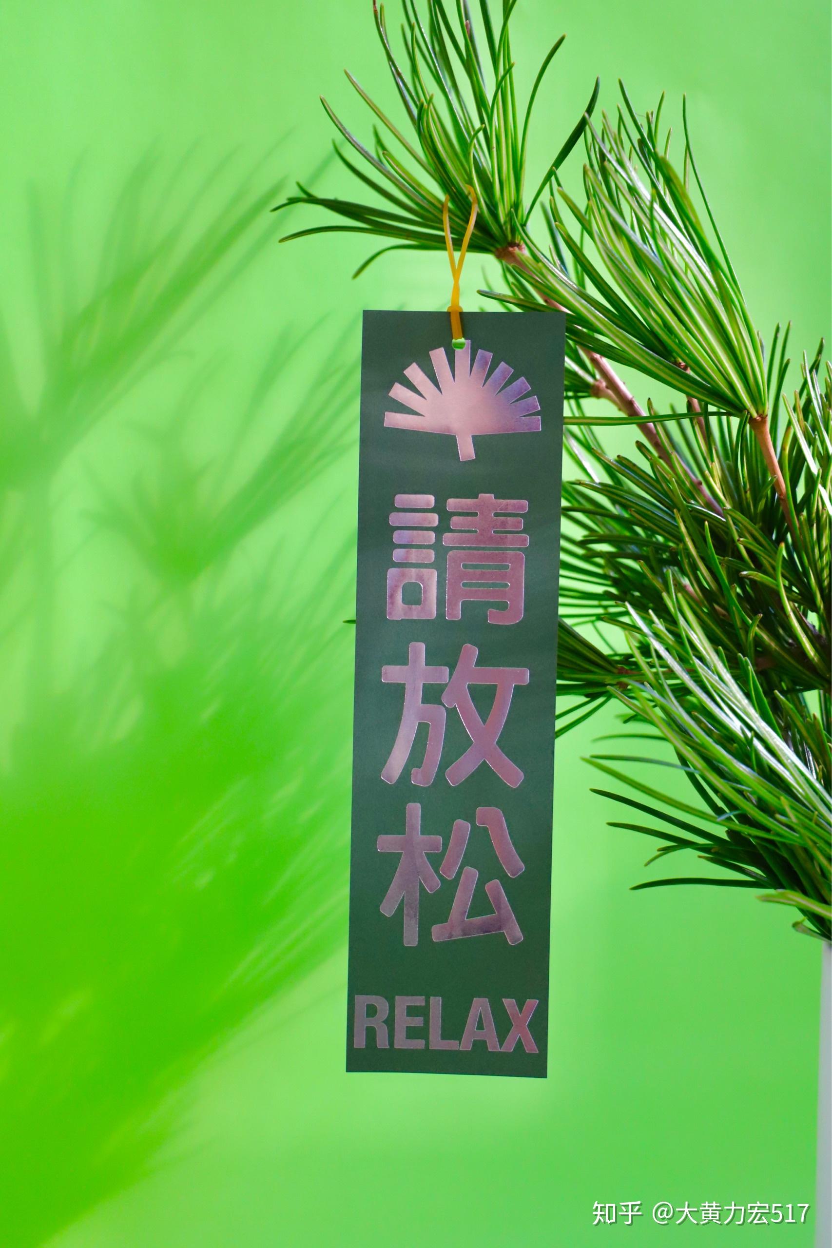 超级植物公司放青松 - 知乎