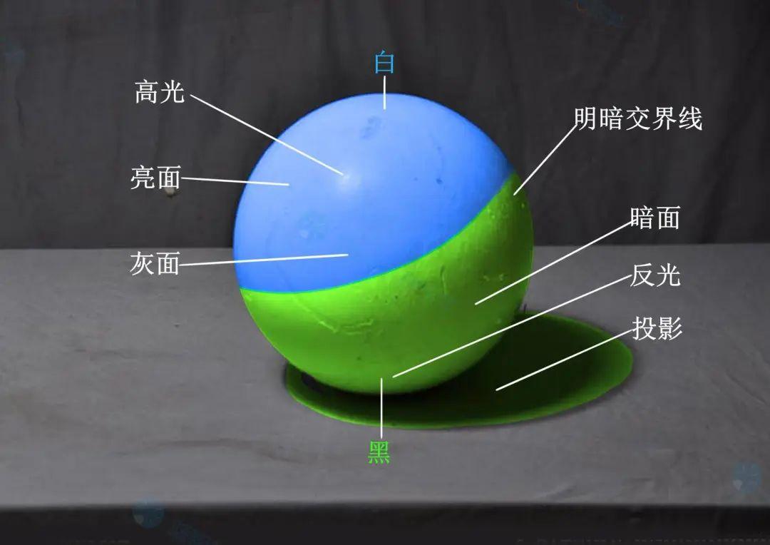 【绘画教程】一招学会光影二分 - 知乎