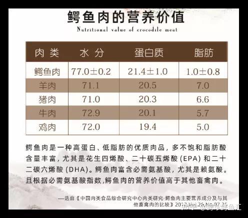 我很丑颜值不够身价来凑一条鳄鱼的自白