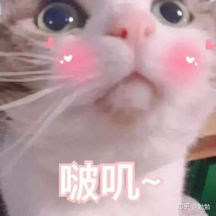 v2-8a62c02ef4f81c9227ea42d3bce8826d_r.jpg