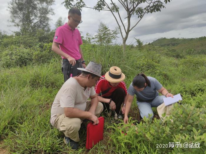 黄俊仁风水团队考察号称蜈蚣吐珠发丁发财发贵的风水宝地