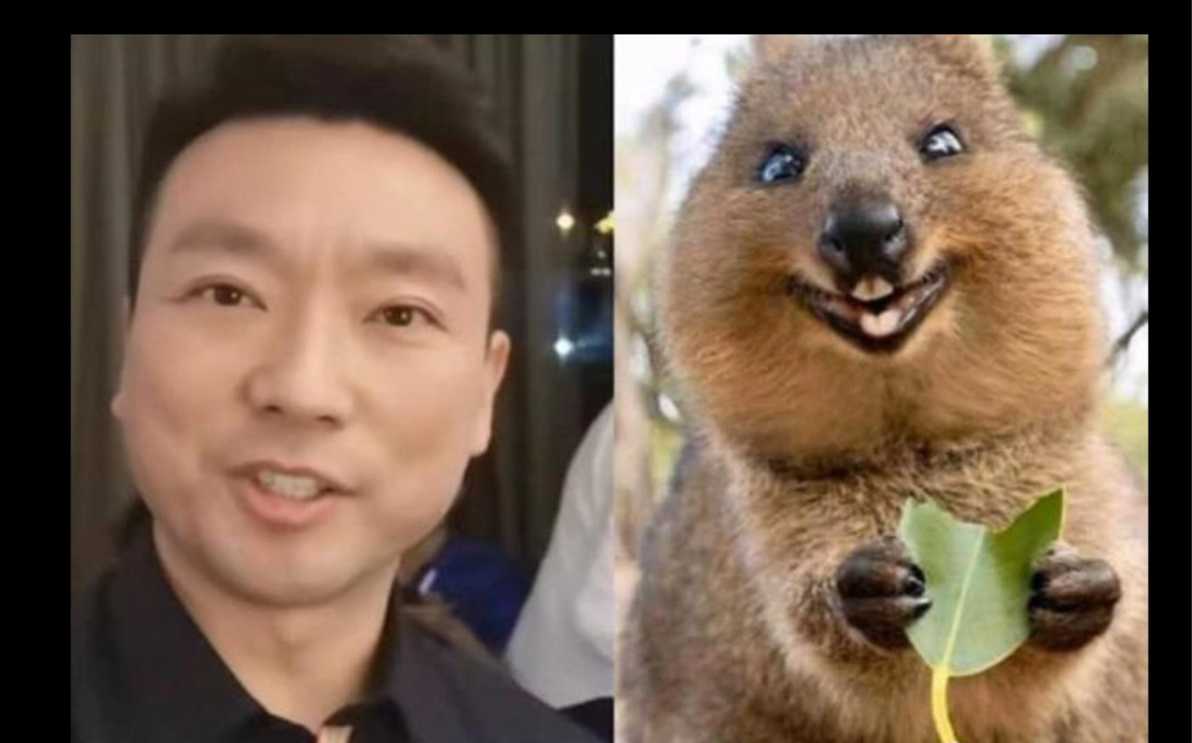 当朱广权和撒贝宁一起主持节目