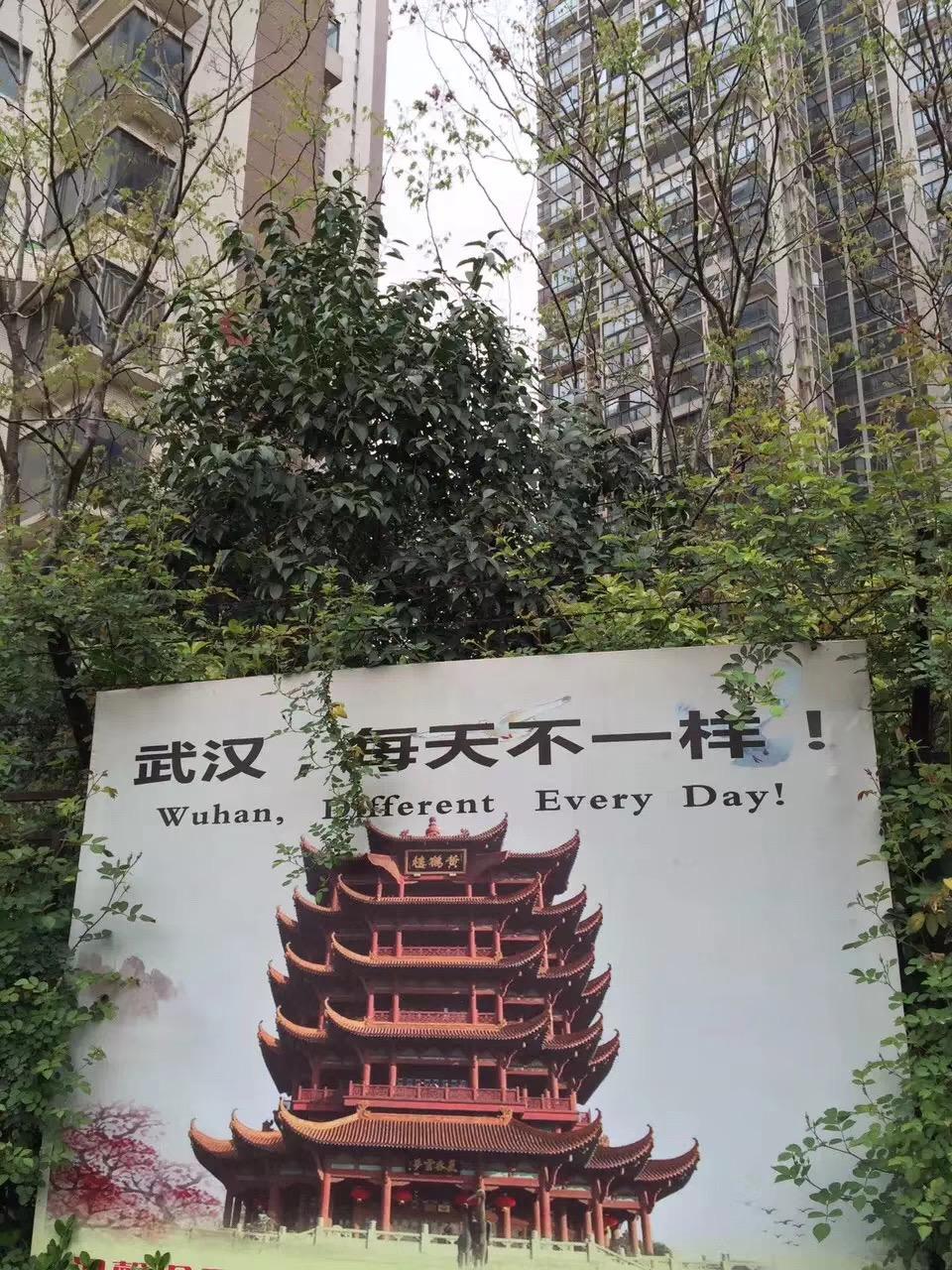 武汉,每天不一样