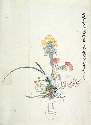 歴史 池坊華道 知乎