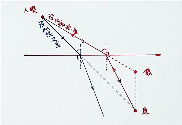 渔民看到鱼的光路图图片