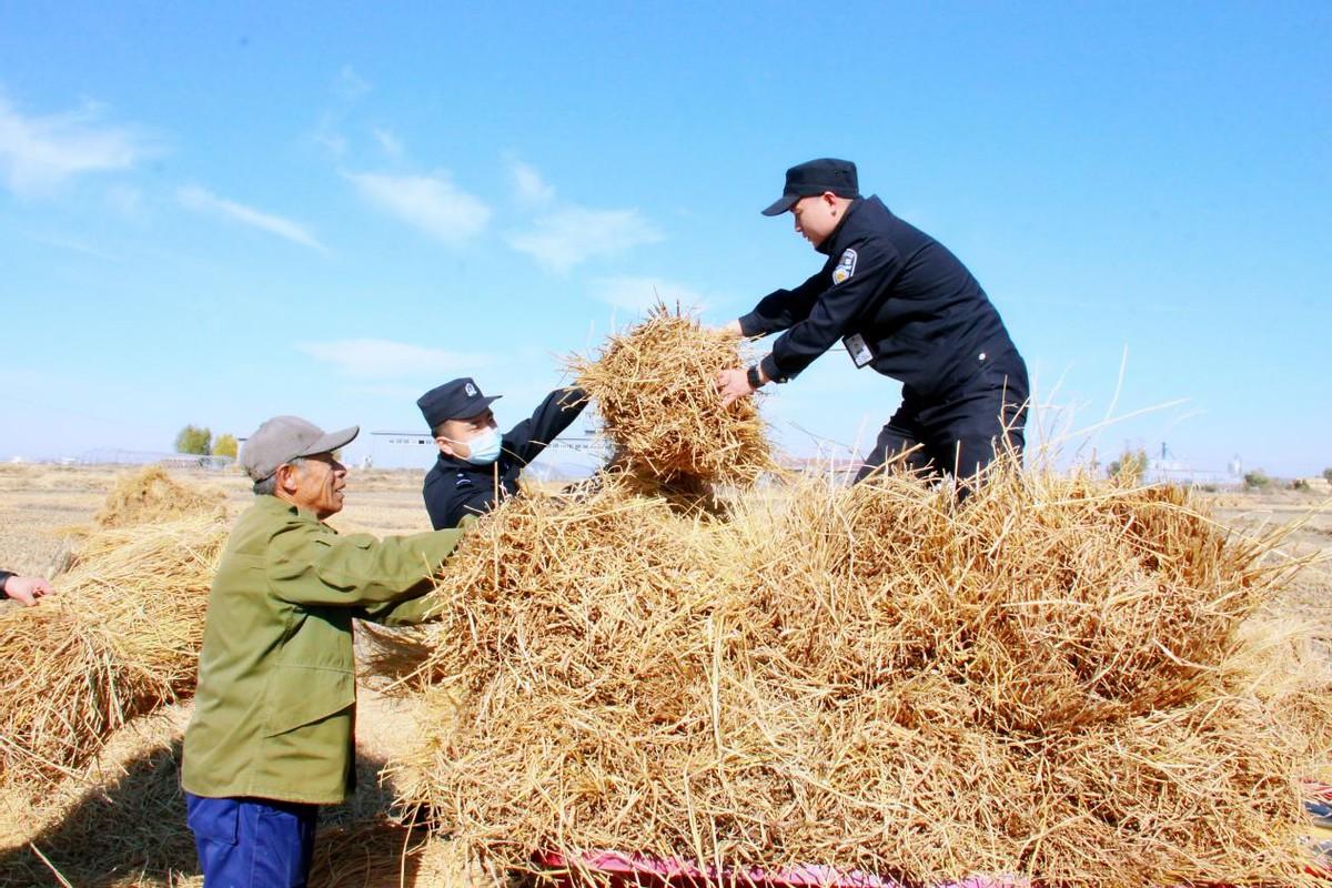 冰城公安 | 打造"田间警务"助力守护丰收画卷